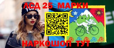 гидропоника Кулебаки